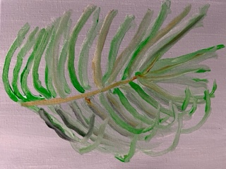Palm Frond Pic